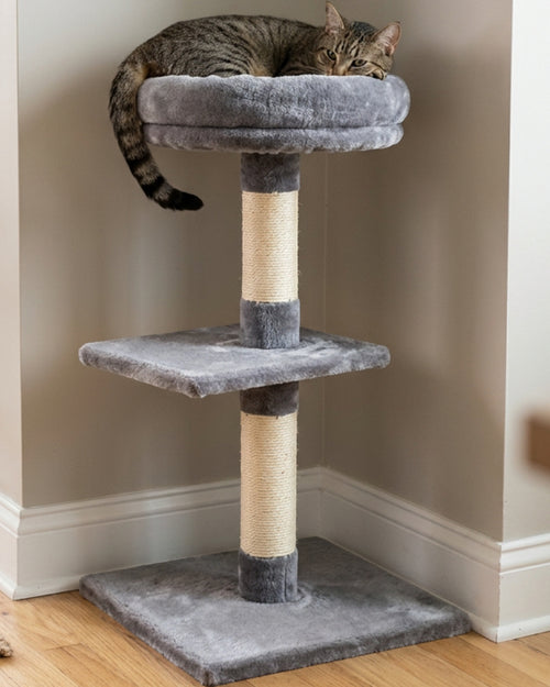 Wcwo Compact Cat Climbing Tower Gray Perch 36 in